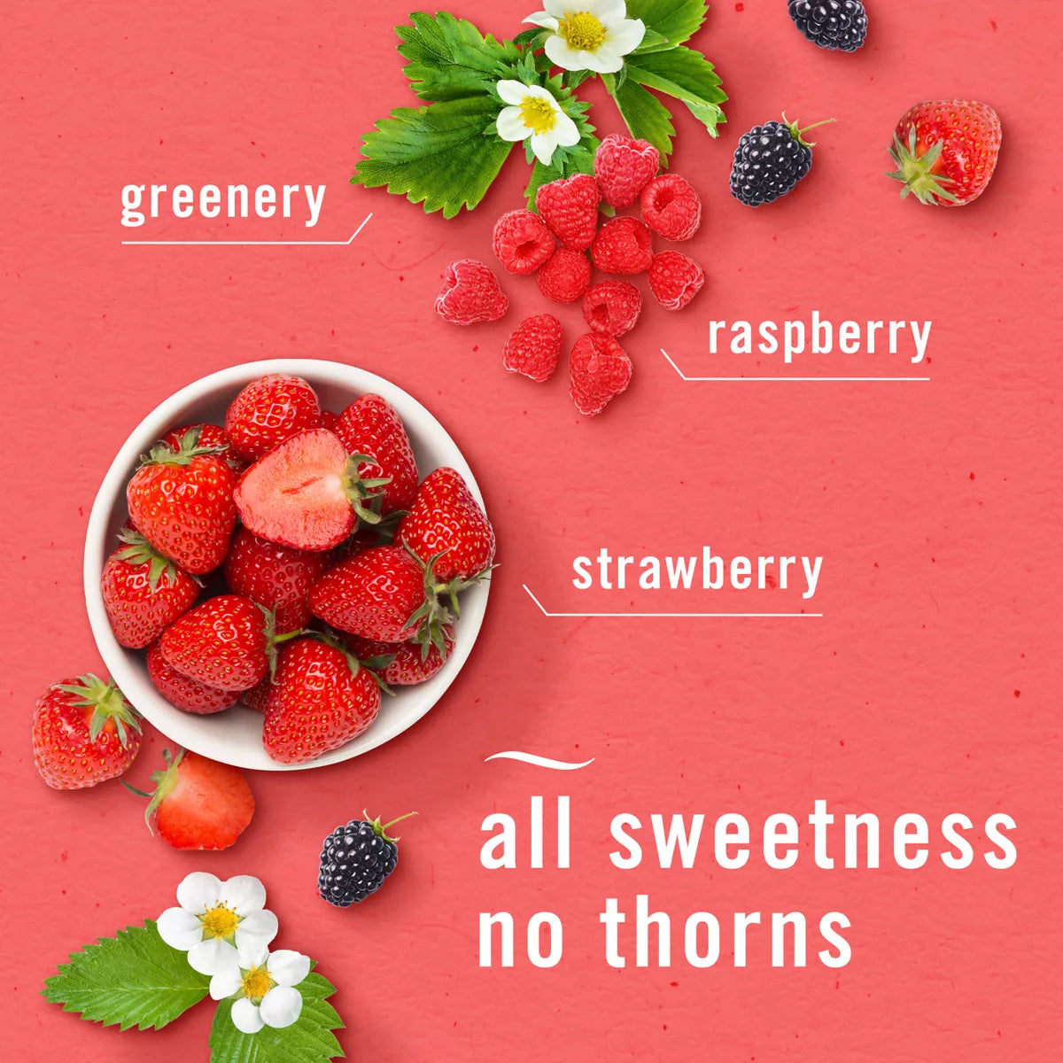 Febreze Bathroom Air Freshener – Berry & Bramble