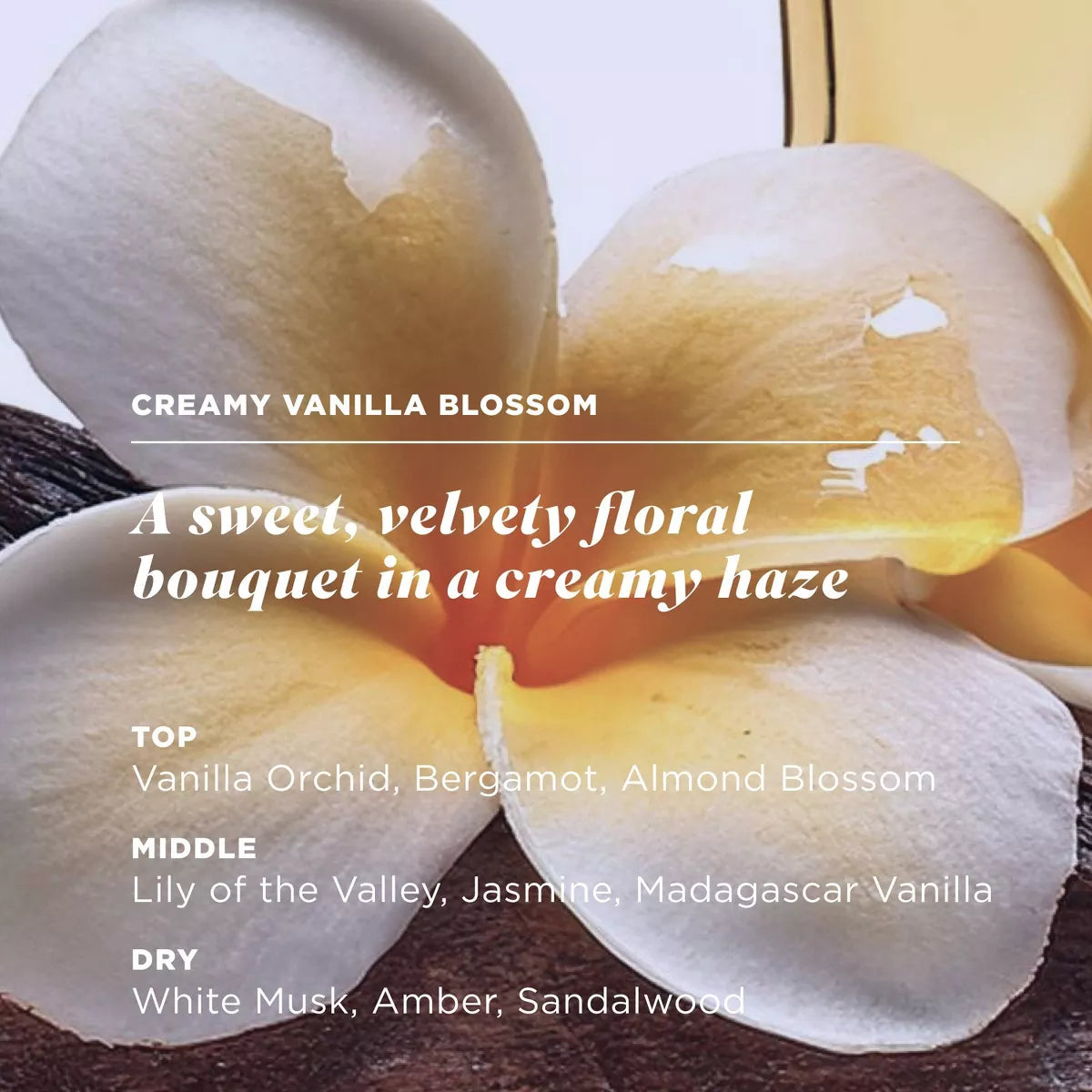 Caress Serum-Infused Body Wash + Niacinamide – Creamy Vanilla Blossom